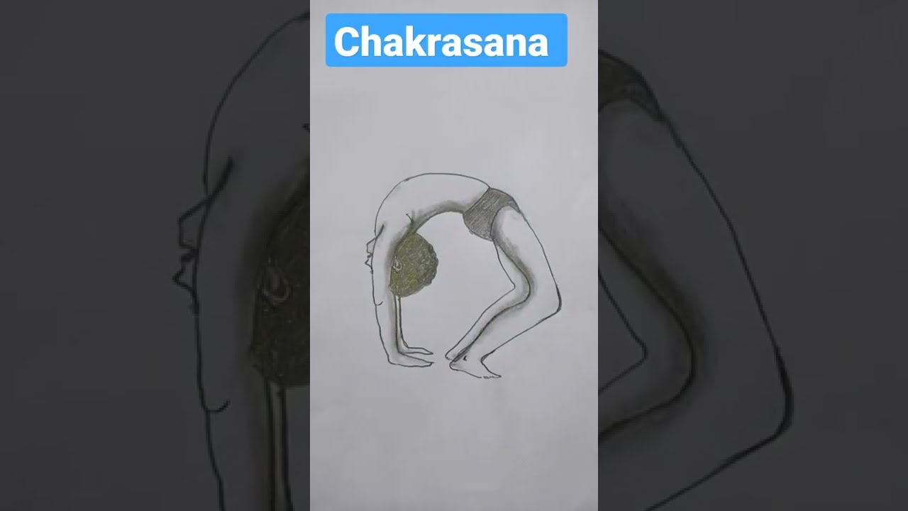 Sketch of Ardha Bhujangasana Stock Vector - Illustration of fitness,  position: 282499887